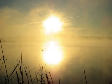 Sabah güneşi parlaklığıyla beni gafil avladı. Sabahın erken saatlerinde Missouri gölünde.