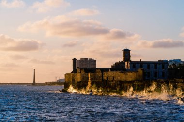 Montevideo yaz sokak manzarası
