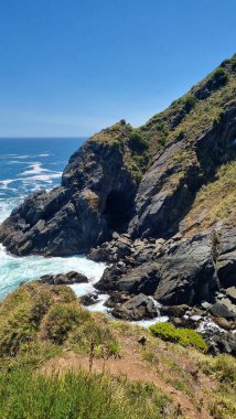 Yedek nacional - selva valdiviana - Şili