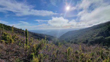 Naturaleza 1800 mts de altura-2 Şili