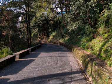Sakin, dolambaçlı bir yol, Uttarakhand Himalayaları 'ndaki sakin bir tepe istasyonu olan Landour' un yoğun ve sisli ormanlarında kaybolur. Bu canlandırıcı sahne doğanın saf güzelliğini ve huzur dolu yalnızlığını yansıtıyor. Seyahat ve doğa temaları için mükemmel..
