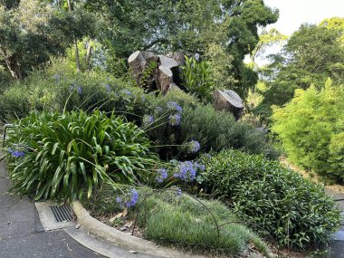 Parktaki güzel çiçekler.