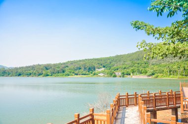 Güney Chinas Guangdong Eyaleti, Jiangmen Lanshi Parkı 'ndaki patika..