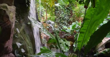 Yeşillikte Küçük Şelale