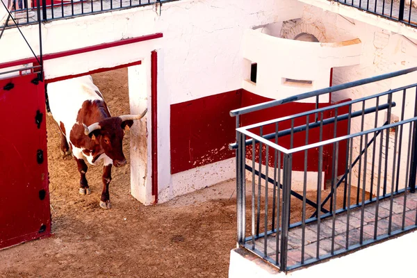 Entorilada yapmak için bir arenanın ağılları. boğa güreşi
