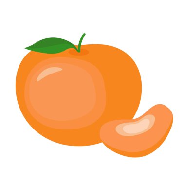 Turuncu mandalina ve dilimle. Vektör illüstrasyonu