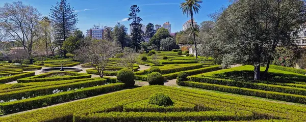 Güzel botanik fotoğrafı, doğal duvar kağıdı.