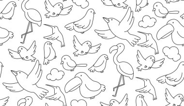 Kuş desensiz arka plan flamingosu, sinekkuşu, güvercin, serçe ve bulut çocukları el çizimi beyaz arkaplanda izole edilmiş siyah çizim