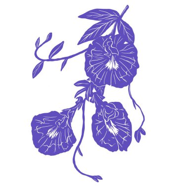 Kelebek bezelye çayı desenli resimleme