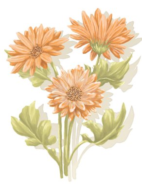 Gerbera flower digital painting illustration clipart