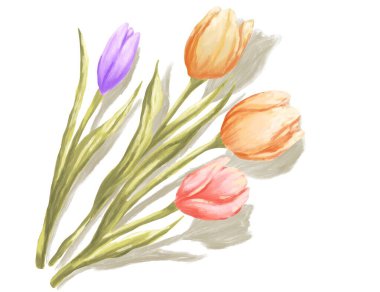 Laleler botanik dijital resim çizimi