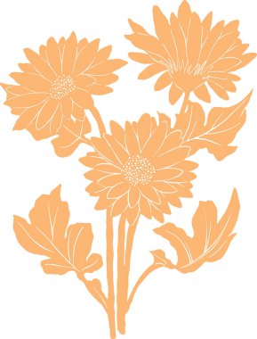 Gerbera çiçeklerinin, bitkilerin, bitkilerin vektör kümesi.