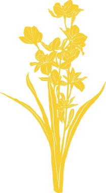 Nergis, beyaz üzerine sarı çiçek