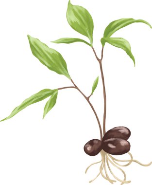 Kökleri olan bir çizgi film ağacının vektör çizimi