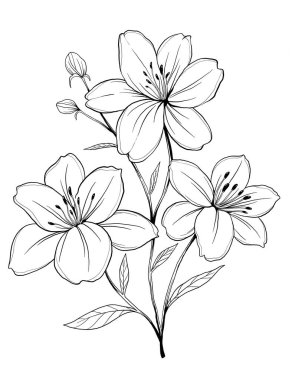 Zambak çiçeği zarif minimalist çizim