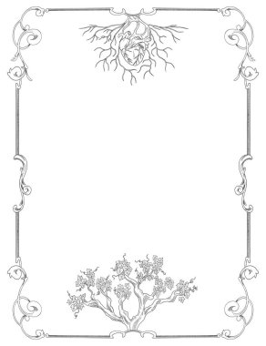 Asma üzümü bitkisi botanik çerçeve ve sınır