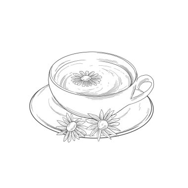 Papatya çayı çizimi el çizimi