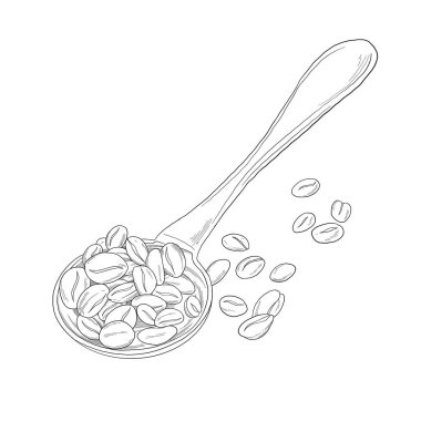 Kaşık çiziminde kavrulmuş kahve.