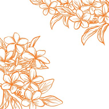 Frangipani çiçek kenarı ve çerçevesi