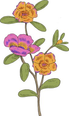 Bir ağaç dalının el çizimi. vektör