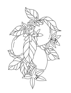 Tek elle çizilmiş elma ağacı dalı ve çiçeklerin ana hatları. Tebrik kartı, düğün davetiyeleri ve boyama kitabı sayfası için vektör çizimi.