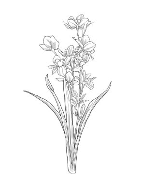 El çizimi çiçekler. Vektör çizimi çizimi.