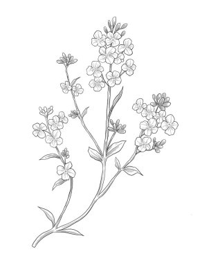 Çiçek tasarımı, vektör illüstrasyonu