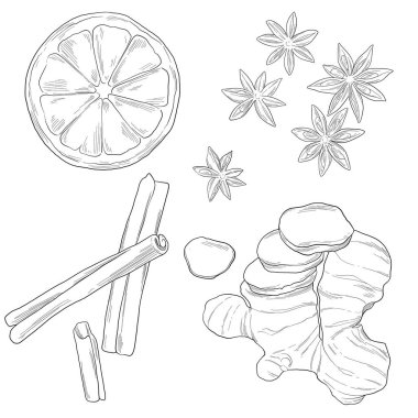 Star Anise Limonlu Tarçın Zencefil Çizimi