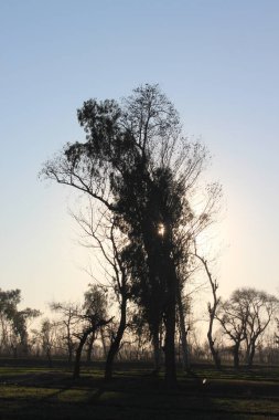 Doğanın güzel manzarası