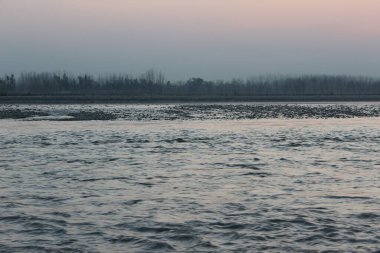 Ağacı olan bir nehir ve arka planda küçük bir nehir.