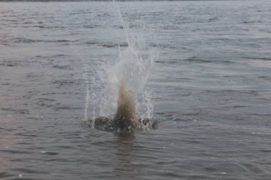 Nehre su sıçrıyor