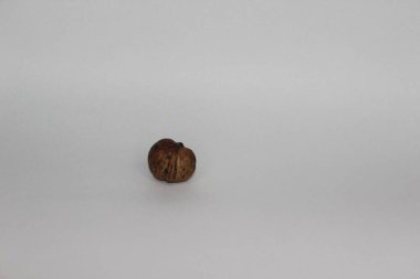 beyaz arkaplanda ceviz