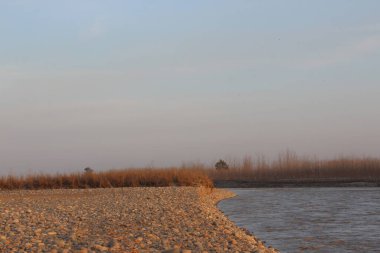 Nehir ve ağaçlarla dolu güzel bir manzara