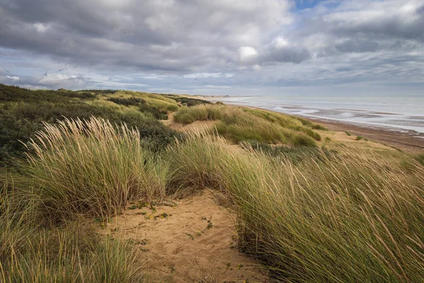 Nas Dunas Areia Camber Sands Costa Leste Sussex Sudeste Inglaterra — Fotografia de Stock