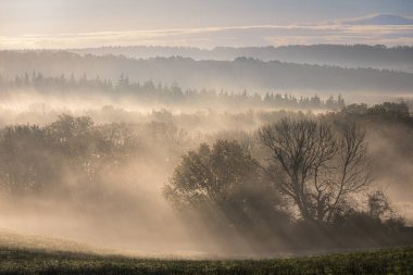 Penhurst ve Ashburnham Vadisi 'nde puslu bir sabah Doğu Sussex' in güneydoğu İngiltere 'sinin yüksek kesiminde.