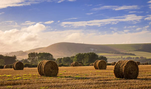 Firle harvest at the foot of the south downs nestled in the east Sussex countryside south east England UK