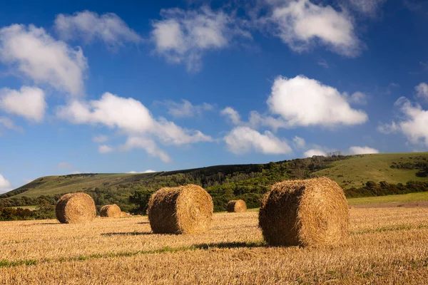 Firle Harvest Foot South Downs Nestled East Sussex Countryside South — Stock Photo, Image