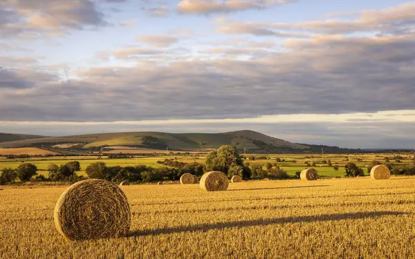 Rodmell Barley Fields Nestled South Downs East Sussex South East — Stock Photo, Image
