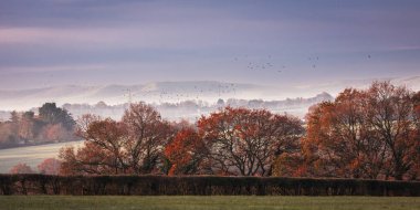 Ashburnham Vadisi 'nde sonbahar sonları sisli bir sabah yüksek gelinciklerin doğu Sussex' te güney çıkışlarıyla buluştuğu İngiltere 'nin güneydoğusunda.