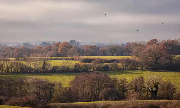 Ashburnham yakınlarındaki yüksek buzullu kırsal bölge doğu Sussex güney doğu İngiltere