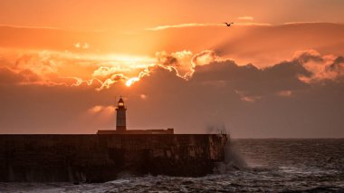 Aralık ayının güçlü rüzgârları ve gelgit Newhaven deniz fenerinin batı sahilinde doğu Sussex sahili güney doğu İngiltere 'de