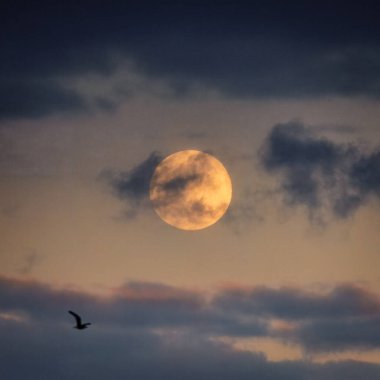 İngiltere 'nin güneydoğusundaki Hastings' in üzerinde, Mutfak Tepesi 'nden dolunay doğuyor.