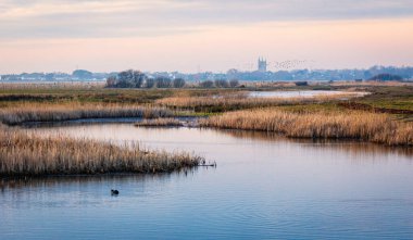 Dungeness doğa rezervi Akşamları Lydd kilisesi arka planda yükselen Kent sahili güney doğu İngiltere