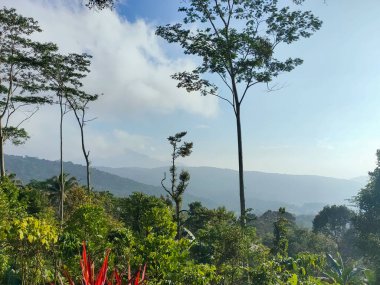 Tepelerdeki atmosfer ağaçlarla dolu ve tepelerin arka planı serin görünüyor. Atmosfer iyileştirici ve ferahlatıcı..