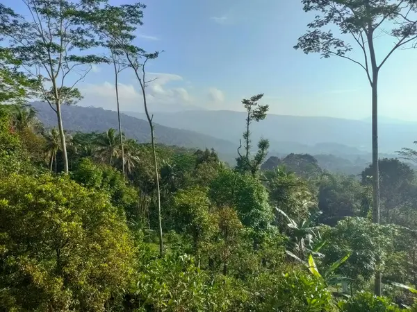 stock image The atmosphere on the hills is lush with trees and the background of the hills looks cool. The atmosphere is suitable for healing and refreshing.