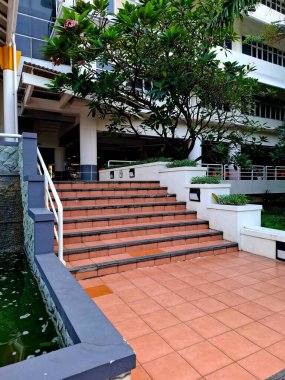 Üniversite binasının ana girişindeki merdivenlerde fayanslar ve bitkiler var. Sabah erkenden göz hizası.