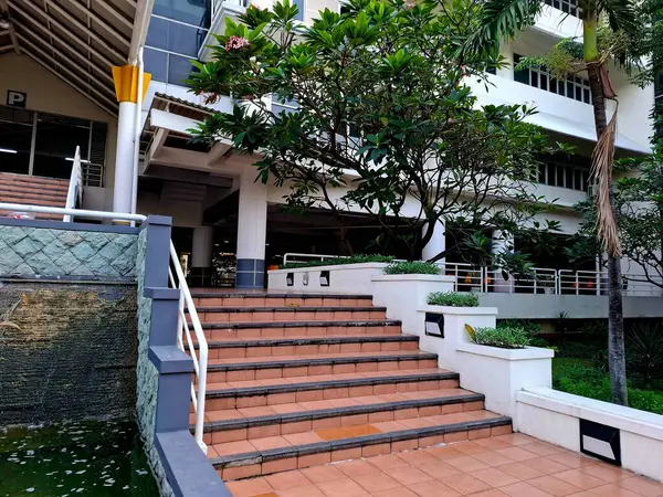 Üniversite binasının ana girişindeki merdivenlerde fayanslar ve bitkiler var. Sabah erkenden göz hizası.