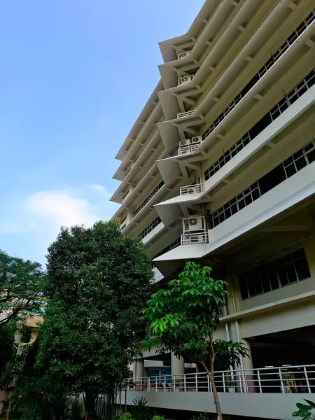 Bir üniversite kampüs binasının dış tasarımı, tropikal bina kantilleri üzerine bir oyun. Sabah göz hizasında..