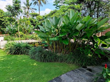 Sanatsal bir kafe bahçesinin bitki unsurları yemyeşil bahçeyle ve temiz havayla uyumlu bir şekilde harmanlanır..