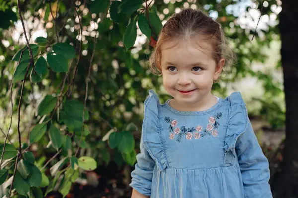 Çocuk parkta yürüyor. Mavi elbiseli küçük kız. Mavi elbiseli güzel bir kızın yaz ormanında yürüyüşü. Bir çocukla yürümek..